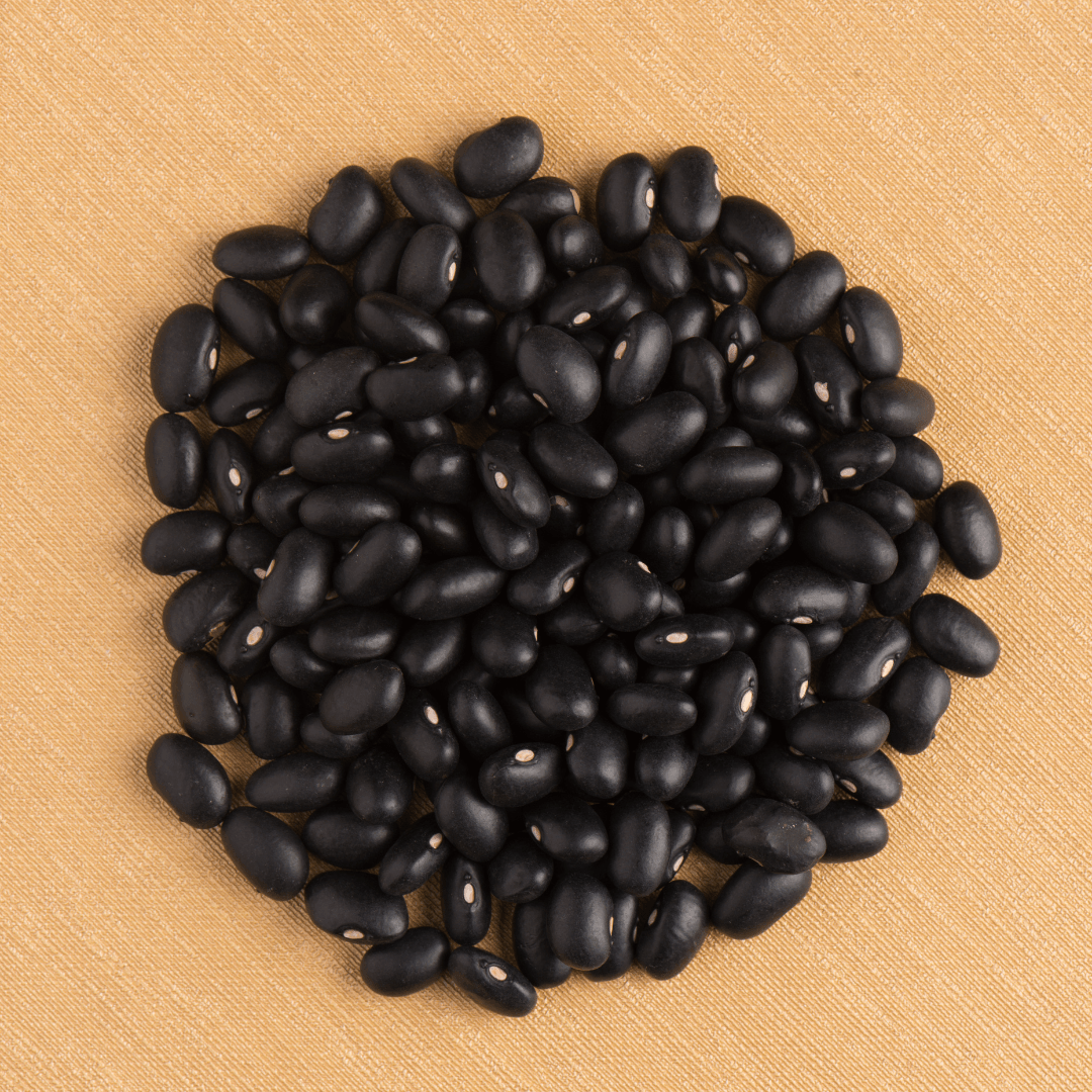 Black beans for sprouted black bean flour